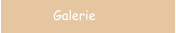 Galerie