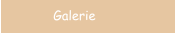 Galerie